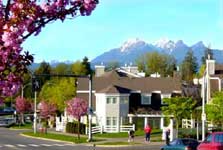 Photo of a Langley neighbourhood